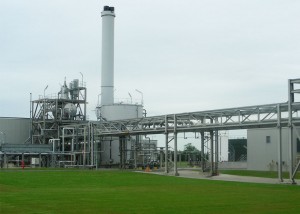 Bristol Myers Squibb