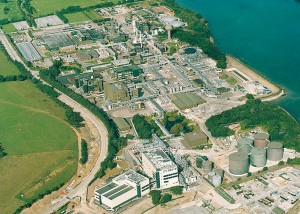 Pfizer Cork