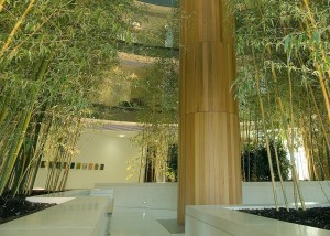 Riverside 1