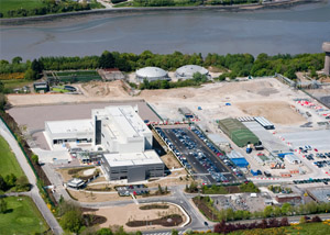 Pfizer MAB’s, Shanbally